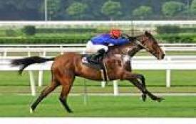 CAFE PMU LOTO LOTERIES BRASSERIE PRESSE CAFE PMU LOTO LOTERIES BRASSERIE PRESSE