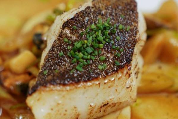 Brasserie avec Licence IV dans une ville touristique !