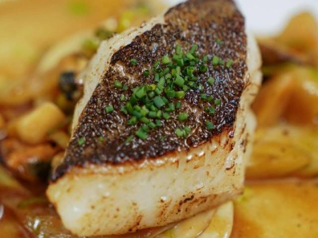 Brasserie avec Licence IV dans une ville touristique !